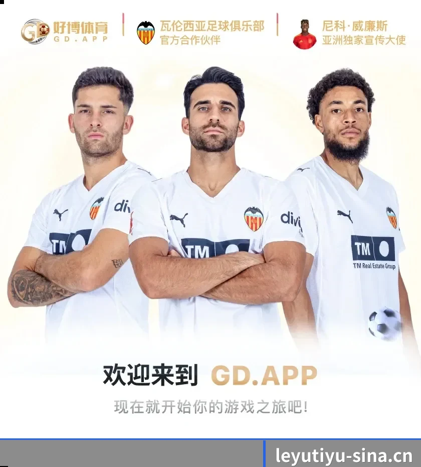 国际化体育智库成型